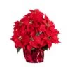 19 In. Red Lush Poinsettia Artificial Arrangement In Red Wrapped Planter