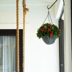 24 In. Pre-Lit UV Resistant Faux Red Tip Photinia & Gold Berries Christmas Hanging Basket With 34-Warm White LED Lights -Holiday Glow Store nearly natural artificial christmas plants p2207 31 1000