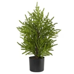 2 Ft. Norfolk Island Pine Natural Look Artificial Tree In Decorative Planter