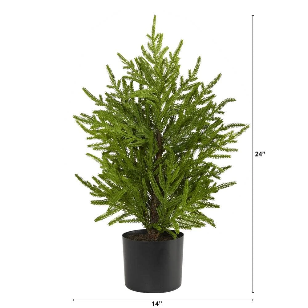 2 Ft. Norfolk Island Pine Natural Look Artificial Tree In Decorative Planter 5 2 Ft. Norfolk Island Pine Natural Look Artificial Tree In Decorative Planter - Image 3
