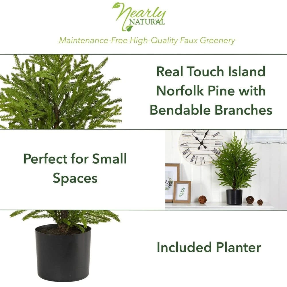 2 Ft. Norfolk Island Pine Natural Look Artificial Tree In Decorative Planter 4 2 Ft. Norfolk Island Pine Natural Look Artificial Tree In Decorative Planter - Image 2