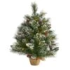 2 Ft. Battery Operated Pre-Lit Frosted Pine Artificial Christmas Tree With 35 Clear LED Lights, Pinecones, Burlap Base 2 2 Ft. Battery Operated Pre-Lit Frosted Pine Artificial Christmas Tree With 35 Clear LED Lights, Pinecones, Burlap Base -Holiday Glow Store nearly natural christmas tabletop trees t1694 64 1000