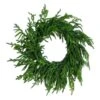 24 In. Artificial Real Touch Norfolk Island Pine Wreath With Natural Look -Holiday Glow Store nearly natural christmas wreaths w1396 64 1000