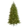 6 Ft. Pre-Lit Vienna Fir Artificial Christmas Tree With 400 Warm White Lights -Holiday Glow Store nearly natural pre lit christmas trees t1485 64 1000