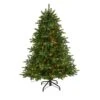 5 Ft. South Carolina Spruce Artificial Christmas Tree With 300 White Warm Lights And 1370 Bendable Branches 2 5 Ft. South Carolina Spruce Artificial Christmas Tree With 300 White Warm Lights And 1370 Bendable Branches -Holiday Glow Store nearly natural pre lit christmas trees t1880 64 1000