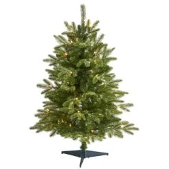 3 Ft. Pre-Lit Snowed Grand Teton Fir Artificial Christmas Tree With 50 Clear Lights