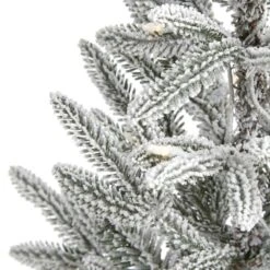 3 Ft. Pre-Lit Flocked Manchester Spruce Artificial Christmas Tree With 50 Clear Lights 11 3 Ft. Pre-Lit Flocked Manchester Spruce Artificial Christmas Tree With 50 Clear Lights -Holiday Glow Store nearly natural pre lit christmas trees t1973 4f 1000