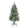 4 Ft. Pre-Lit Frosted Tip British Columbia Mountain Pine Artificial Christmas Tree With 100 Clear Lights, Pine Cones