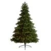 8 Ft. South Carolina Spruce Artificial Christmas Tree With 700 White Warm Lights And 3412 Bendable Branches -Holiday Glow Store nearly natural pre lit christmas trees t3339 64 1000