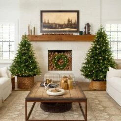 6 Ft. Pre-Lit Artificial Luxembourg Pine Christmas Tree With 250-Multicolored Traditional Bulb LED Lights -Holiday Glow Store nearly natural pre lit christmas trees t5246 77 1000