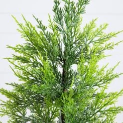 32in. Pre-Lit Artificial Lightly Snowed Cypress Christmas Tree With 30-Warm White LED Lights In Decorative Weaved Basket -Holiday Glow Store nearly natural pre lit christmas trees t5422 44 1000