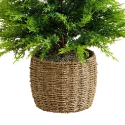 3 Ft. Pre-Lit Artificial Lightly Snowed Cypress Christmas Tree With 38-Warm White LED Lights In Decorative Weaved Basket 19 3 Ft. Pre-Lit Artificial Lightly Snowed Cypress Christmas Tree With 38-Warm White LED Lights In Decorative Weaved Basket -Holiday Glow Store nearly natural pre lit christmas trees t5423 fa 1000