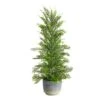 2.25 Ft. Unlit Californian Cedar Artificial Christmas Tree In Decorative Planter
