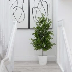 4 Ft. Artificial Norfolk Pine Christmas Tree -Holiday Glow Store nearly natural unlit christmas trees t4708 fa 1000