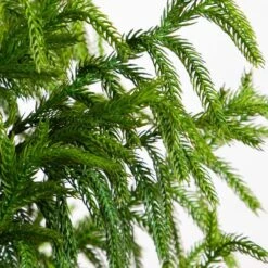 5 Ft. Artificial Norfolk Pine Christmas Tree -Holiday Glow Store nearly natural unlit christmas trees t4709 1f 1000