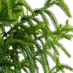 5 Ft. Artificial Norfolk Pine Christmas Tree -Holiday Glow Store nearly natural unlit christmas trees t4709 4f 1000