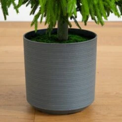 6 Ft. Artificial Real Touch Norfolk Island Pine Christmas Tree With Natural Look -Holiday Glow Store nearly natural unlit christmas trees t5369 44 1000