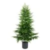7 Ft. Artificial Real Touch Norfolk Island Pine Christmas Tree With Natural Look -Holiday Glow Store nearly natural unlit christmas trees t5371 64 1000