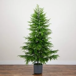 7 Ft. Artificial Real Touch Norfolk Island Pine Christmas Tree With Natural Look -Holiday Glow Store nearly natural unlit christmas trees t5371 fa 1000