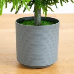 8 Ft. Artificial Real Touch Norfolk Island Pine Christmas Tree With Natural Look 12 8 Ft. Artificial Real Touch Norfolk Island Pine Christmas Tree With Natural Look -Holiday Glow Store nearly natural unlit christmas trees t5372 1f 1000