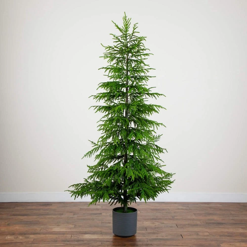 8 Ft. Artificial Real Touch Norfolk Island Pine Christmas Tree With Natural Look 7 8 Ft. Artificial Real Touch Norfolk Island Pine Christmas Tree With Natural Look - Image 5