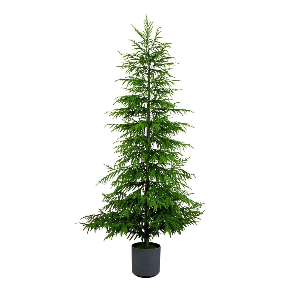 8 Ft. Artificial Real Touch Norfolk Island Pine Christmas Tree With Natural Look 3 8 Ft. Artificial Real Touch Norfolk Island Pine Christmas Tree With Natural Look
