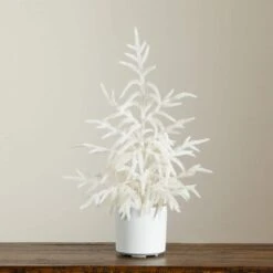 2 Ft. Artificial Real Touch White Norfolk Island Pine Christmas Tree With Natural Look -Holiday Glow Store nearly natural unlit christmas trees t5376 44 1000