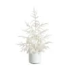 2 Ft. Artificial Real Touch White Norfolk Island Pine Christmas Tree With Natural Look -Holiday Glow Store nearly natural unlit christmas trees t5376 64 1000