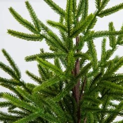 22 In. Artificial Real Touch Norfolk Island Pine In White Decorative Planter With Natural Look -Holiday Glow Store nearly natural unlit christmas trees t5383 1f 1000