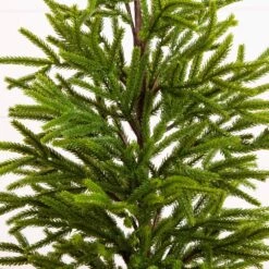 32 In. Artificial Real Touch Norfolk Island Pine In Christmas Tin Metal Planter With Natural Look -Holiday Glow Store nearly natural unlit christmas trees t5388 1f 1000