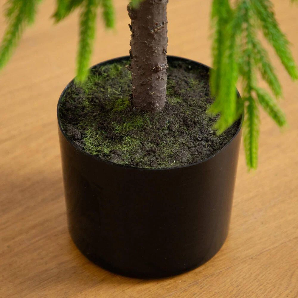 3 Ft. Artificial Real Touch Down Swept Norfolk Pine Tree With Natural Look 6 3 Ft. Artificial Real Touch Down Swept Norfolk Pine Tree With Natural Look - Image 4