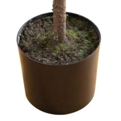 5 Ft. Artificial Real Touch Down Swept Norfolk Pine Tree With Natural Look -Holiday Glow Store nearly natural unlit christmas trees t5398 1f 1000