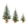 2 Ft. 3 Ft. 4 Ft. Artificial Snowed Balsam Fir Christmas Tree In Burlap Wrapped Base - (Set Of 3) -Holiday Glow Store nearly natural unlit christmas trees t5399 64 1000